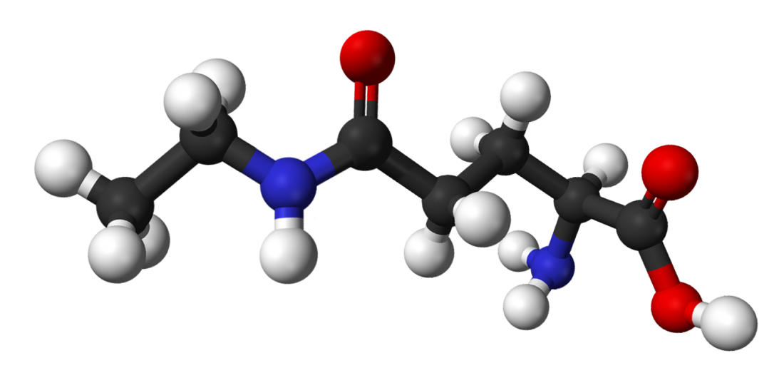 L-theanine
